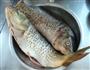 红烧鱼块的做法图解1