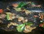 过油肉土豆片的做法图解4