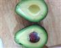 牛油果色拉的做法图解3