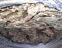 宝宝食谱-西兰花茭白虾皮猪肉水饺的做法图解4