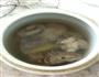 清炖排骨的做法图解6