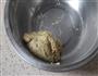 伯爵红茶饼干的做法图解4