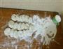 跟姥爷学做韭菜猪肉水煎包-带冰花哦的做法图解3