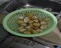 萝卜干豆腐猪肉的做法图解1
