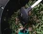 菜豆炒肉的做法图解7