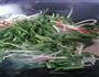韭菜炒银芽的做法图解4