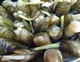 清甜鲜嫩-插海蛏的做法图解2