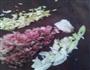 麻婆豆腐的做法图解1