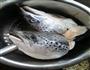三文鱼头豆腐汤的做法图解1