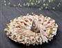孔雀开屏鱼的做法图解9