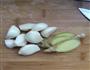 番茄炖排骨的做法图解3