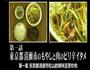 辣味豆芽炒肉的做法图解5
