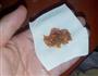 虾仁馄饨的做法图解16