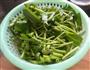 虾酱空心菜的做法图解1