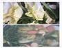 超级好吃的过桥米线的做法图解2
