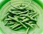必学下饭菜-四季豆炒肉末的做法图解1