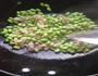 虾仁毛豆烩豆腐的做法图解3