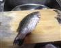 清蒸鲫鱼的做法图解1