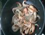 油焖大虾的做法图解4