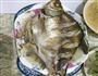 清蒸鳊鱼的做法图解4