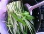 酱拌空心菜的做法图解3
