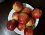 糖水黄桃的做法图解1
