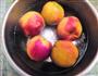 黄桃罐头的做法图解2