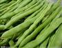 四季豆的做法图解1
