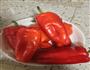 油淋红柿椒的做法图解1