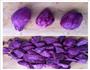 QQ糯糯椰蓉-芒果、紫薯、红豆沙-糯米糍的做法图解1