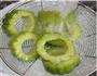 煎酿苦瓜的做法图解4