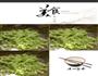 黄瓜鸡蛋素馅儿饺子的做法图解2