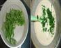 芹菜煎饼的做法图解2