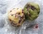 抹茶蜜豆饼干的做法图解5