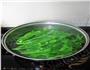 白灼油菜芯的做法图解7