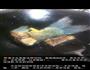 青木瓜煲鱼尾的做法图解2