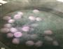 芋圆的做法图解8