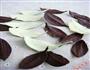 巧克力树叶的做法图解6
