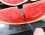 手把手教你切西瓜的做法图解8