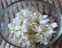 糖渍茉莉花的做法图解1