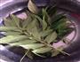 香叶牛肉的做法图解1