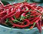 家常美味辣椒酱的做法图解1