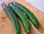 老油条拌黄瓜的做法图解5