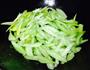 清心润肺-芹菜炒肉丝的做法图解6