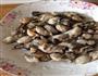 懒人生蚝的做法图解3