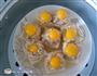 鱼肉鹌鹑蛋酿豆腐的做法图解11