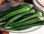 冰镇秋葵的做法图解1