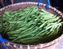 梅干四季豆的做法图解3