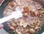 豉香花蛤的做法图解13