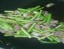 芦笋炒肉 芦笋肉片 升级版的做法图解5